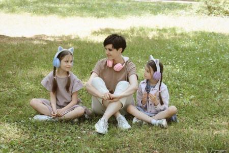 Наушники и гарнитуры Miru Cat EP-W10 (розовый) [W101]