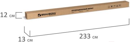 Проекционные экраны BRAUBERG Wall 1:1 (200x200) 236727 [236727]