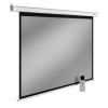 Проекционные экраны CACTUS SIlverMotoExpert 175x280 CS-PSSME-280X175-DG [CS-PSSME-280X175-DG]