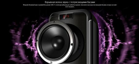 Беспроводные и портативные колонки Ginzzu GM-211