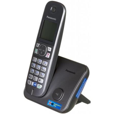 Радиотелефоны DECT Panasonic KX-TG6811RUM