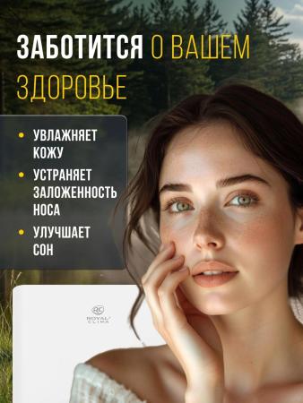 Очистители и мойки воздуха Royal Clima Aurora RAW-AU350/5EW-WT [RAW-AU350/5EW-WT]