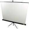 Проекционные экраны Lumien Eco View (LEV-100102)