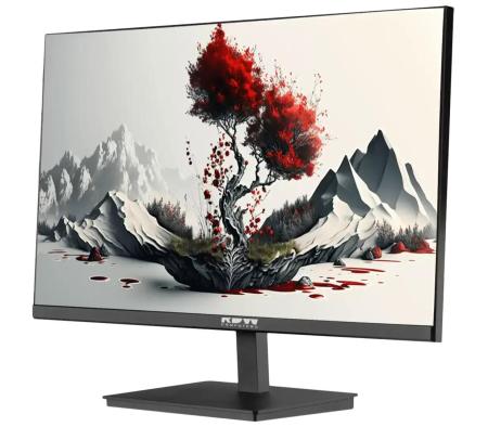 Мониторы RDW Computers RDW 2401K [RDW2401K, 2401K/F00В0100V2A1H]