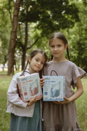 Наушники и гарнитуры Miru Cat EP-W10 (розовый) [W101]