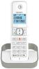 Радиотелефоны DECT Panasonic KX-TGC310UC2