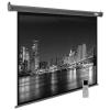 Проекционные экраны CACTUS SIlverMotoExpert 175x280 CS-PSSME-280X175-DG [CS-PSSME-280X175-DG]