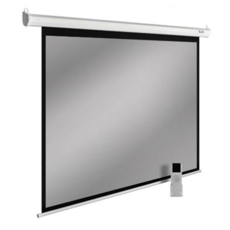 Проекционные экраны CACTUS SIlverMotoExpert 150x240 CS-PSSME-240X150-DG [CS-PSSME-240X150-DG]