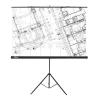 Проекционные экраны CACTUS Triscreen CS-PST-127X127 [CS-PST-127X127]