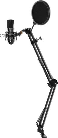 Микрофоны Ritmix RDM-169 [RDM-169 Black]