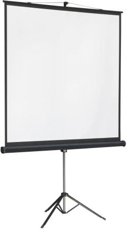 Проекционные экраны Lumien Master View 244x244 (LMV-100105)