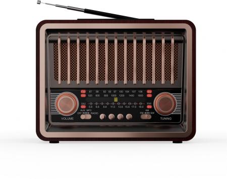 Радиоприемники Ritmix RPR-089 (красное дерево) [RPR-089]