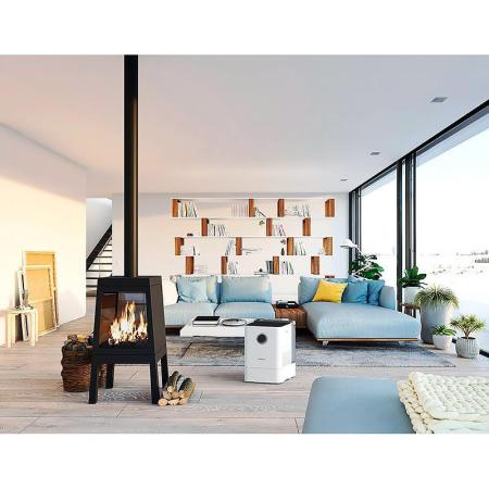 Очистители и мойки воздуха Boneco Air-O-Swiss W300