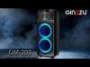 Беспроводные и портативные колонки Ginzzu GM-203