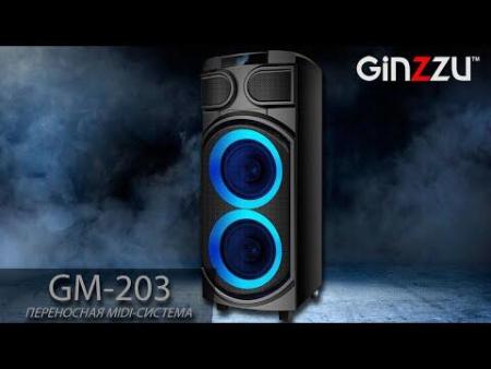 Беспроводные и портативные колонки Ginzzu GM-203