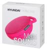 Беспроводные и портативные колонки Hyundai H-PAC150