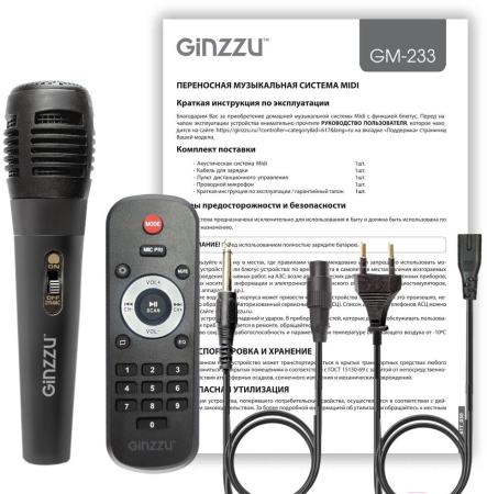 Беспроводные и портативные колонки Ginzzu GM-233