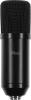 Микрофоны Ritmix RDM-169 [RDM-169 Black]