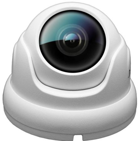 IP-камеры Ginzzu HID-2302A