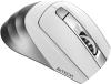 Мыши A4Tech Fstyler FB35S (белый/серый) [fb35s usb icy white]