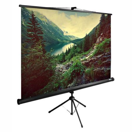 Проекционные экраны CACTUS TriExpert 200x200 CS-PSTE-200х200-BK [CS-PSTE-200х200-BK]