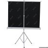 Проекционные экраны CACTUS Triscreen CS-PST-127X127 [CS-PST-127X127]