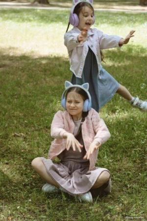 Наушники и гарнитуры Miru Cat EP-W10 (розовый) [W101]