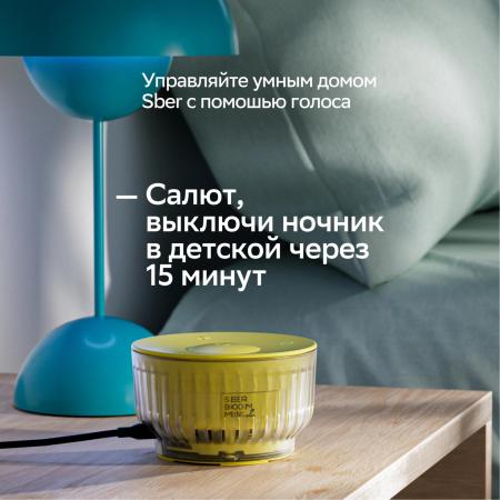 Беспроводные и портативные колонки Sber SberBoom Mini 2 (неоновый серый) [SBDV-00250G]