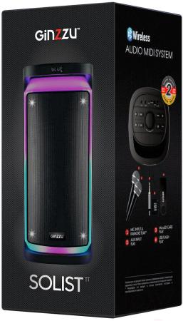 Беспроводные и портативные колонки Ginzzu GM-226