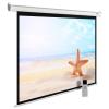 Проекционные экраны CACTUS MotoExpert 220x138 CS-PSME-220x138-WT [CS-PSME-220x138-WT]
