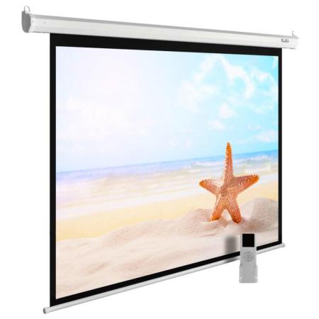 Проекционные экраны CACTUS MotoExpert 220x138 CS-PSME-220x138-WT [CS-PSME-220x138-WT]