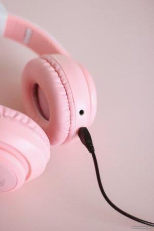 Наушники и гарнитуры Miru Cat EP-W10 (розовый) [W101]