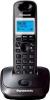 Радиотелефоны DECT Panasonic KX-TGC310UC2