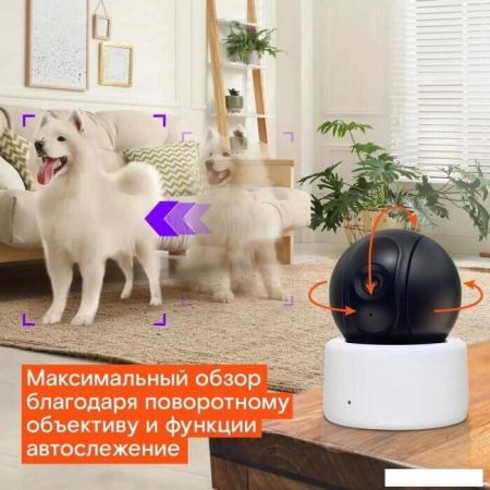 IP-камеры Tiandy TC-C32QN I3/E/Y/2.8mm/V5.0