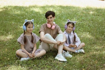 Наушники и гарнитуры Miru Cat EP-W10 (розовый) [W101]