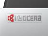 Принтеры и МФУ Kyocera Mita ECOSYS M8124cidn 1102P43AX0 [1102P43AX0]