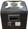 Беспроводные и портативные колонки Ginzzu GM-203