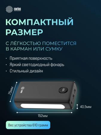 Портативные зарядные устройства CACTUS CS-PBFSJA-30000 30000mAh (черный) [CS-PBFSJA-30000]