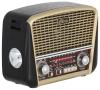 Радиоприемники Ritmix RPR-050 (золотой) [RPR-050 Gold]
