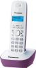 Радиотелефоны DECT Panasonic KX-TGC310UC2