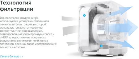 Очистители и мойки воздуха Airgle AG300
