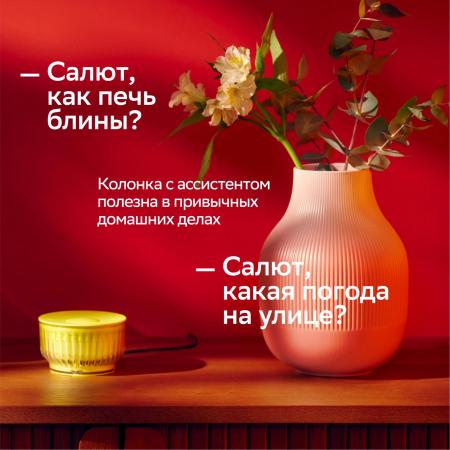 Беспроводные и портативные колонки Sber SberBoom Mini 2 (титановый синий) [SBDV-00250B]