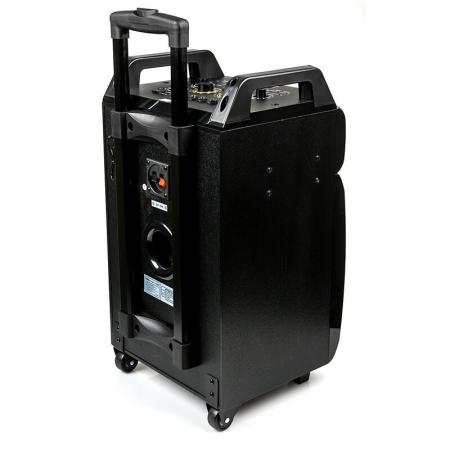 Беспроводные и портативные колонки Dialog AO-210