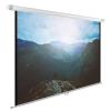 Проекционные экраны CACTUS WallExpert 220x220 CS-PSWE-220x220-WT [CS-PSWE-220x220-WT]