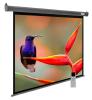 Проекционные экраны CACTUS SIlverMotoExpert 138x220 CS-PSSME-220X138-DG [CS-PSSME-220X138-DG]