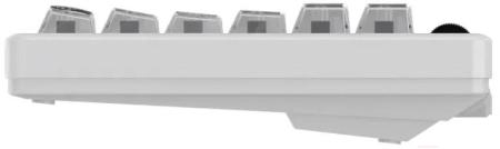 Клавиатуры Dareu A84 Pro (White)