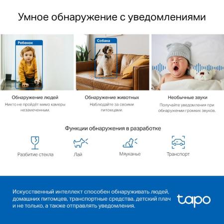 IP-камеры TP-Link Tapo C220