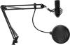 Микрофоны Ritmix RDM-169 [RDM-169 Black]