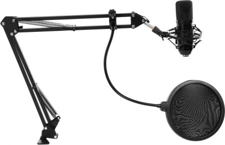 Микрофоны Ritmix RDM-169 [RDM-169 Black]