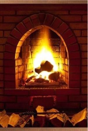 Обогреватели БРТЗ Дыхание тепла Водоскат [20с457]